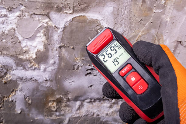 Best Preventive Mold Services in Llano Grande, TX