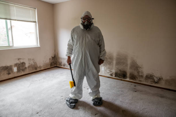 Best Crawl Space Mold Remediation in Llano Grande, TX